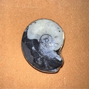 Huge Ammonite Solid 925 Sterling Silver Money Clip